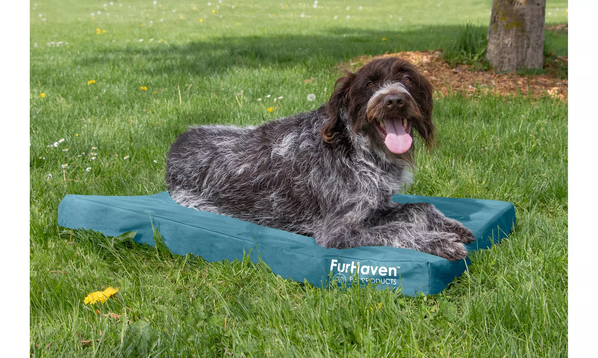 FurHaven Deluxe Oxford Indoor/Outdoor Dog Bed. Multiple Options Available. - Primary Image