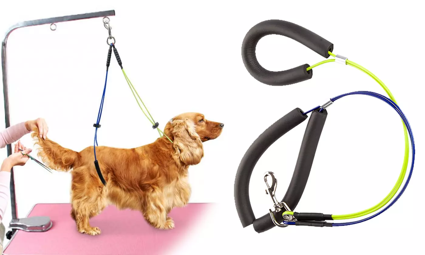 Pet Dog Harness No-Sit Per Haunch Holder Grooming Restraint Harness Leash Loop - Primary Image