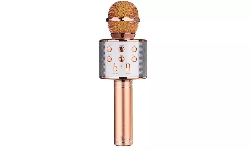 Wireless Bluetooth Karaoke Microphone - Second Medium
