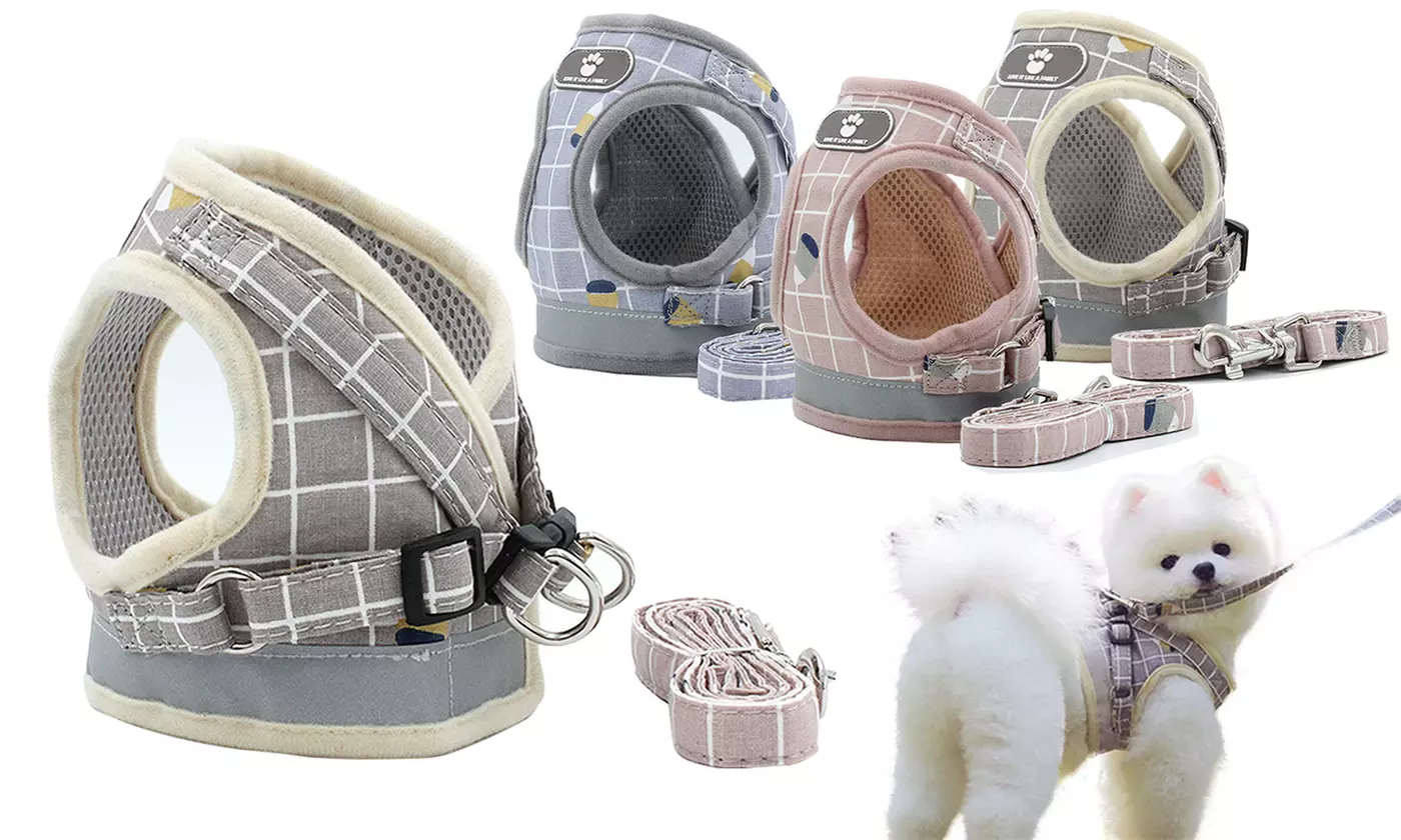 Soft Mesh Dog Harness Reflective Vest Walking Lead Leash For Small Medium Pet - Primary Image