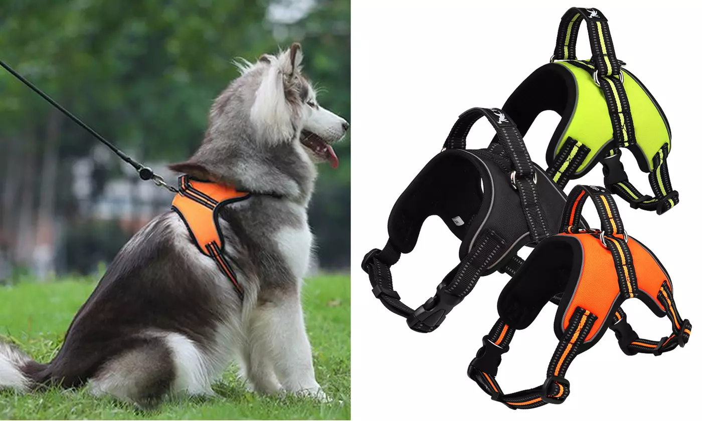No-Pull Adjustable Dog Walking Harness Reflective Material Outdoor Pet Vest - Primary Image