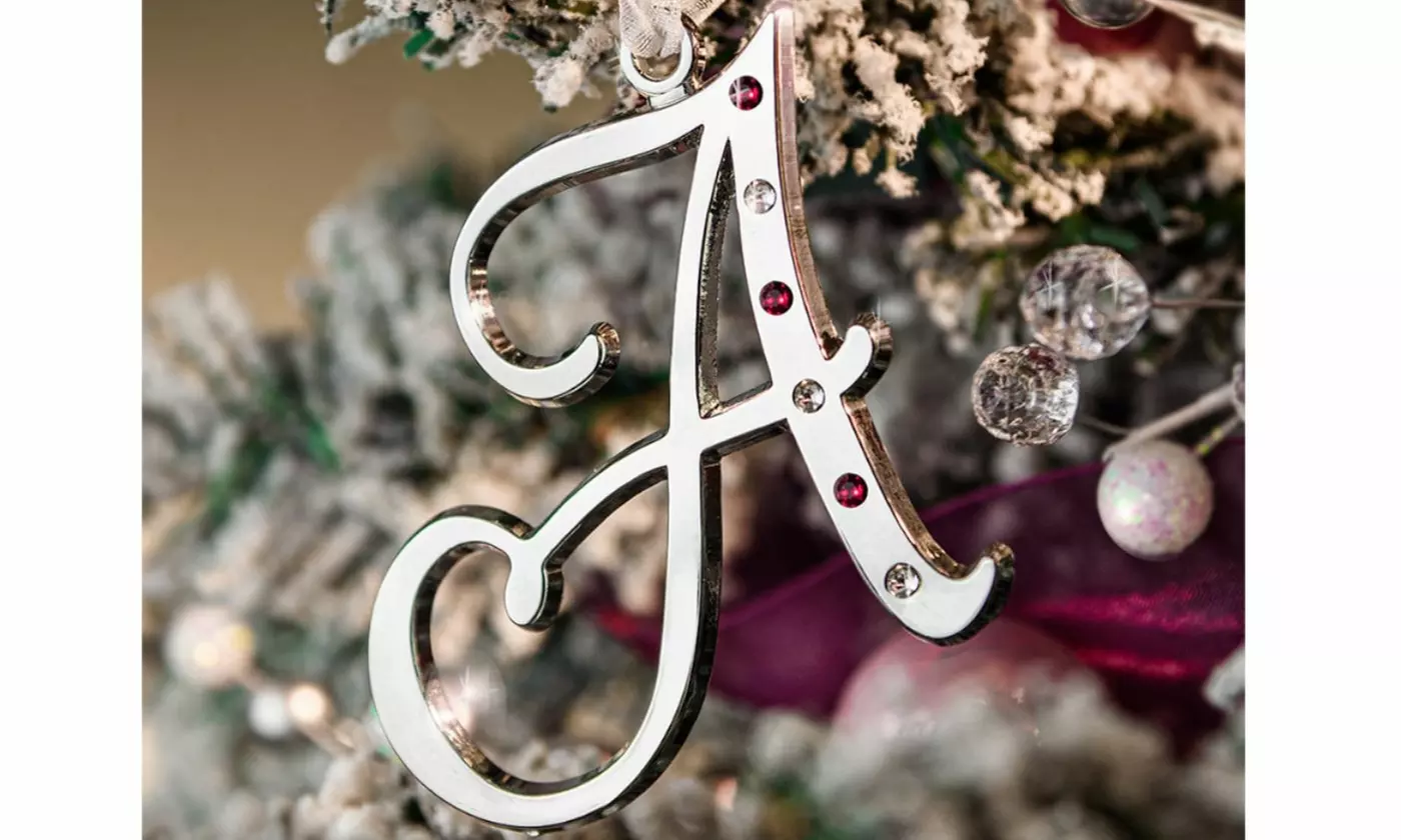Silvertone Initial Ornaments - Primary Image
