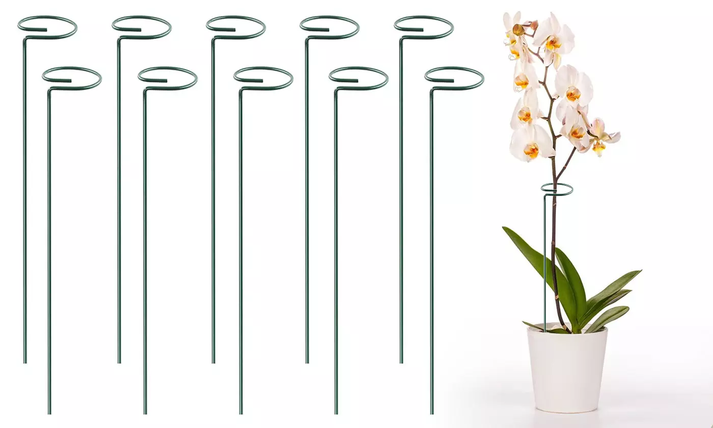 iNova 10"/16" Garden Plant Support Stakes Flower Single Stem Support (10-Pack) - Primary Image