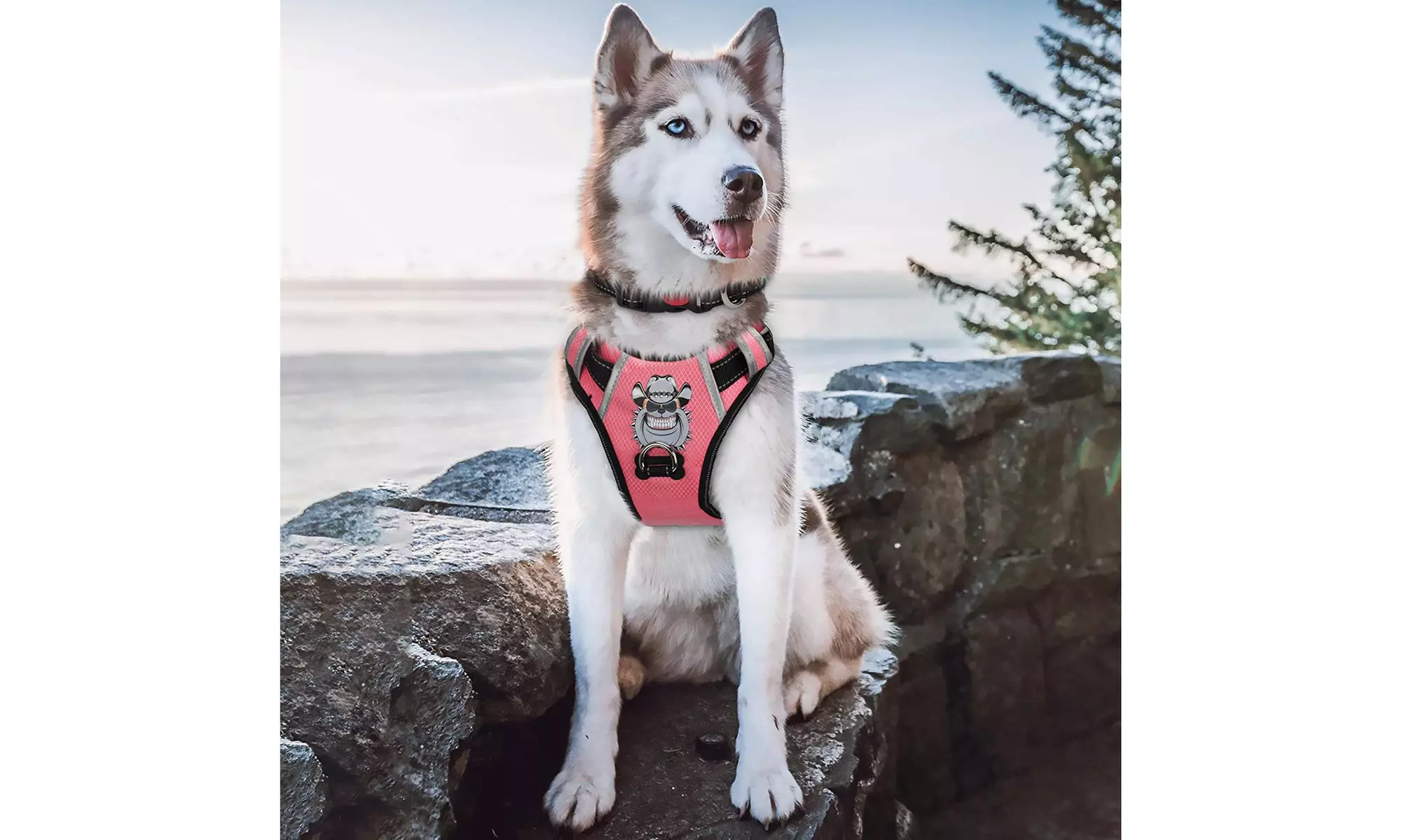 Large Pink Dog Harness No Pull Anti-Tear Adjustable Pet Reflective Oxford Vest - Primary Image