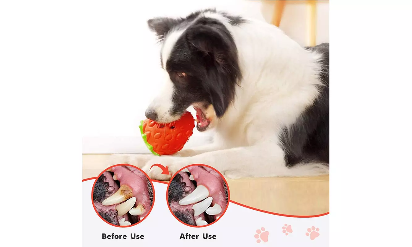 Durable Puppy Feeder Chew Toys Food Dispensing Toys for Teeth Cleaning IQ Treat