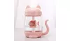 3 In 1 Humidifier Cute Cat LED Humidifier Air Fan Diffuser Purifier Atomizer