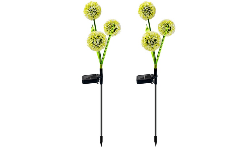 Up To 82% Off on Solar Outdoor Garden Decor Co... | Groupon Goods