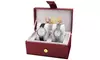 Burgi Women's Leather Strap Alloy Bracelet 2-Piece Watch Set BURGP152