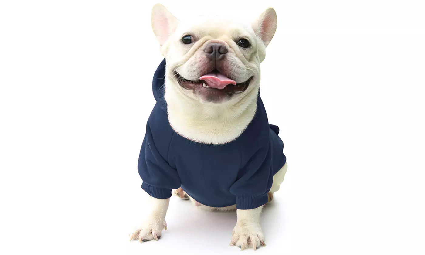 Winter Dog Hoodie Sweatshirts with Pockets Warm Dog Clothes for Small Dogs