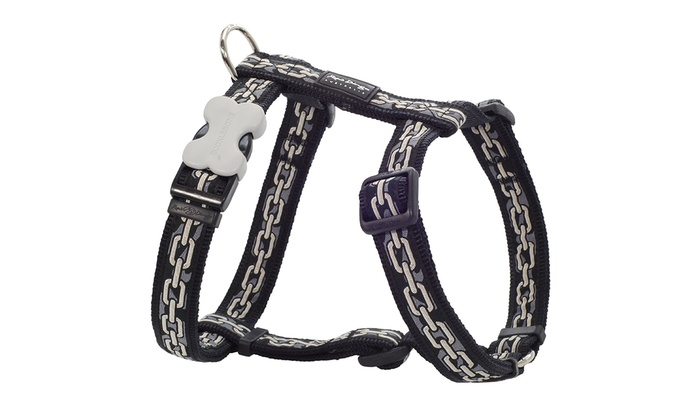 dog harness made of chain