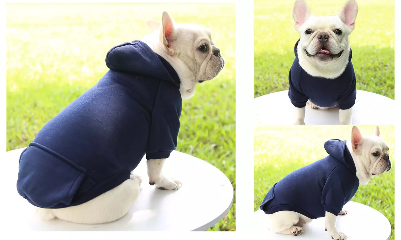 Fall Winter Dog Hoodie Sweatshirts Coat with Pocket for Dogs Puppy Cat