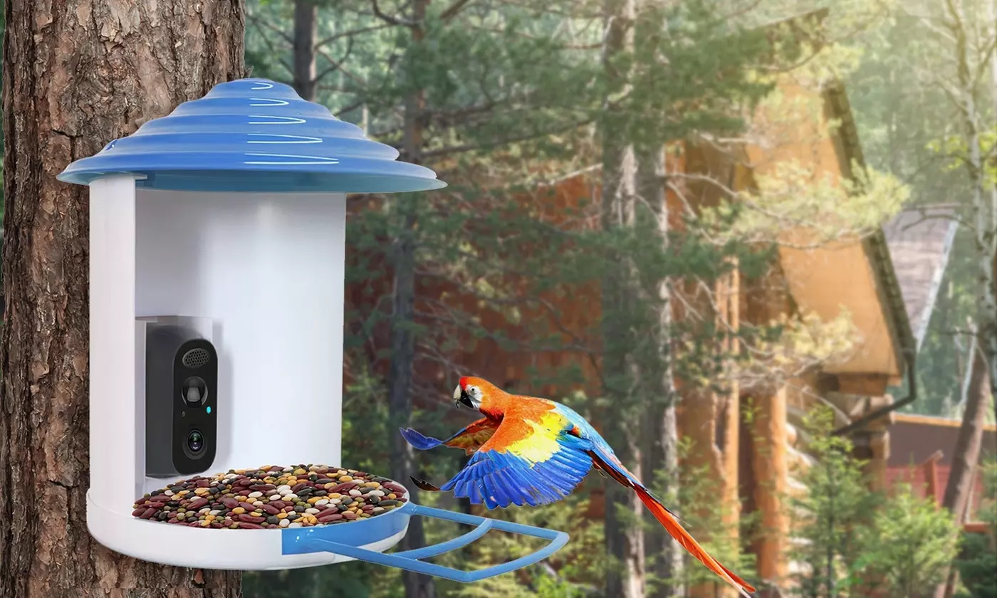 iMounTEK Smart Bird Feeder with Camera - 1080P HD Video