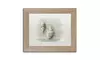 Cora Niele 'Two Cancellaria Shells' Matted Birch Framed Art