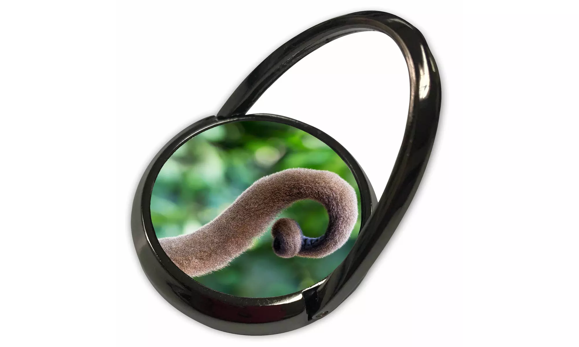 Phone Ring - Brazil, Amazon, Manaus, Close up common woolly monkey tail - Primary Image