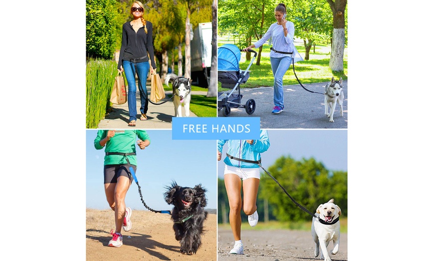 hands free dog lead for running