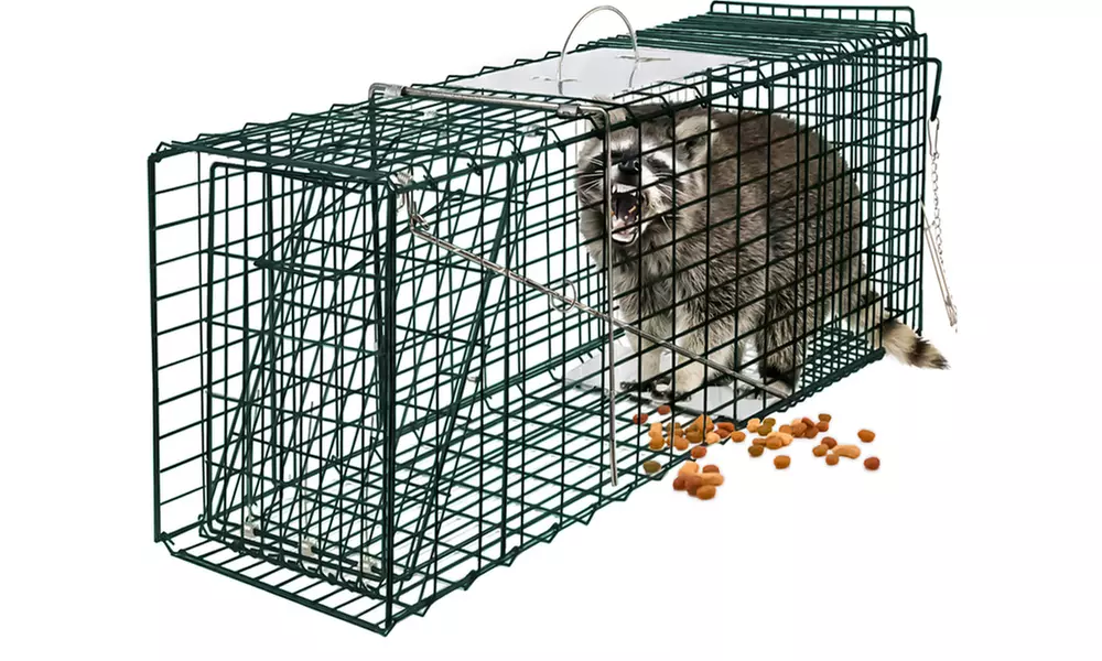 32"x12"x12" Steel Outdoor Live Animal Trap - Primary Image