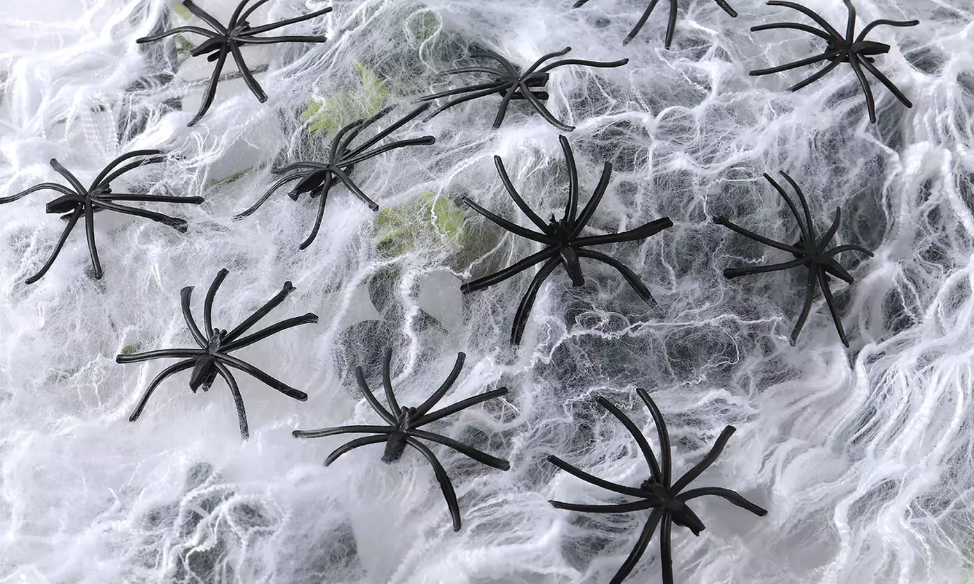200g/300g Stretchable Halloween Spider Web and Spiders - 60 / 100 Spiders