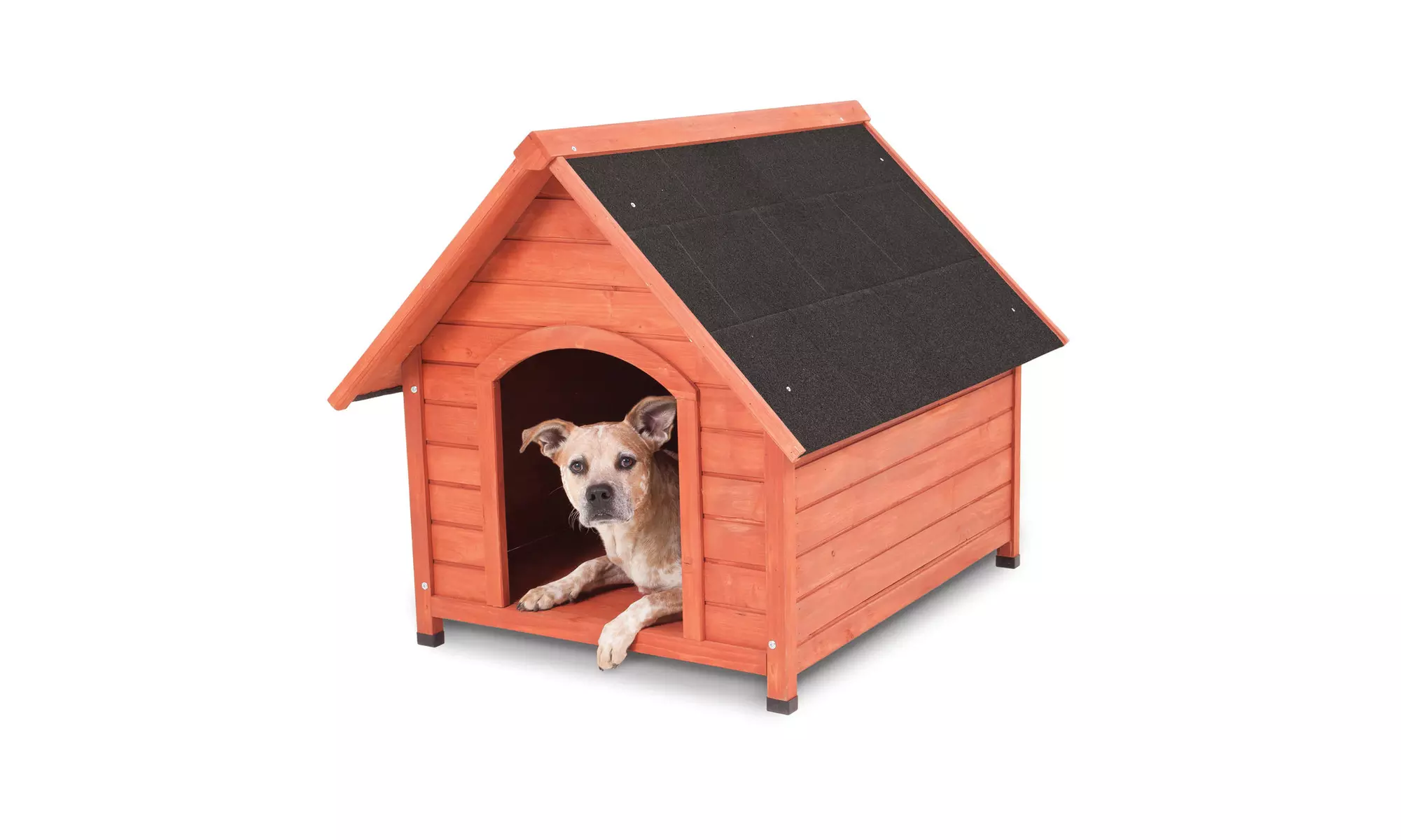 Doskocil Peak Wood Dog House, Medium, Brown - Primary Image