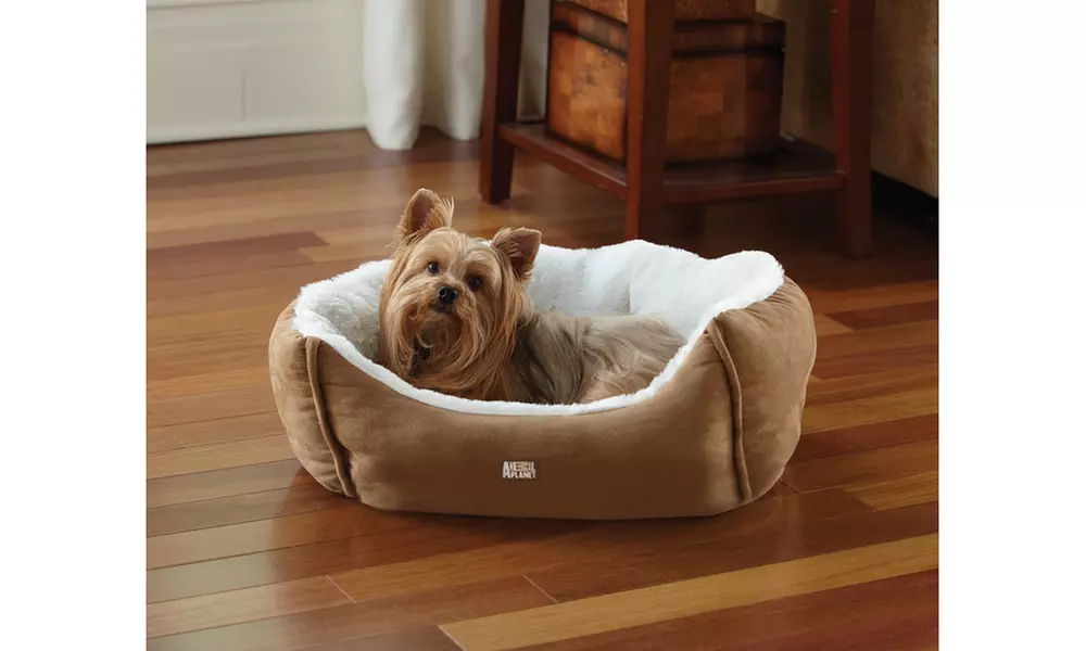 Animal Planet Pet Bed Micro Suede - Various Colors - Second Medium