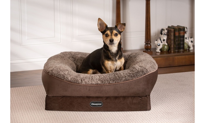 beautyrest ultra plush orthopedic foam pet bed