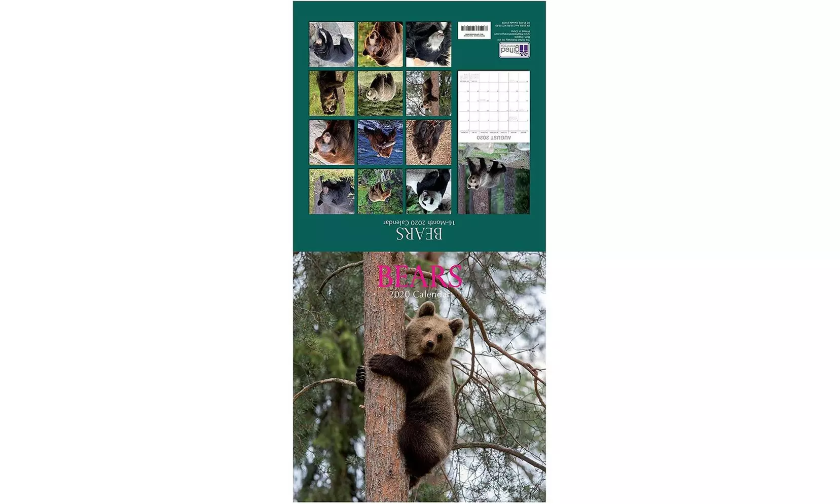 The Gifted Stationery 2020 Wall Calendar - Bears , 12" Monthly View, 16-Month - Primary Image