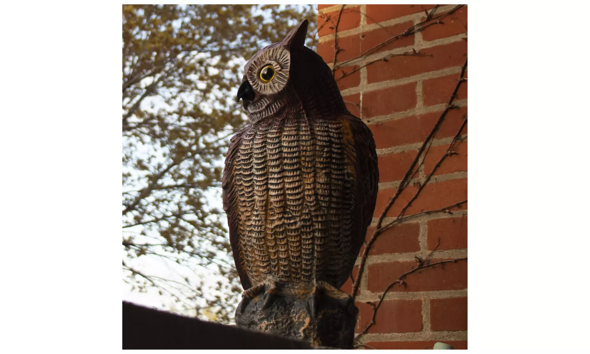 16.5" Garden Owl Decoy - Great for Pest Management - Primary Image