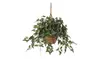Nearly Natural 6507 English Ivy Hanging Basket Silk Plant