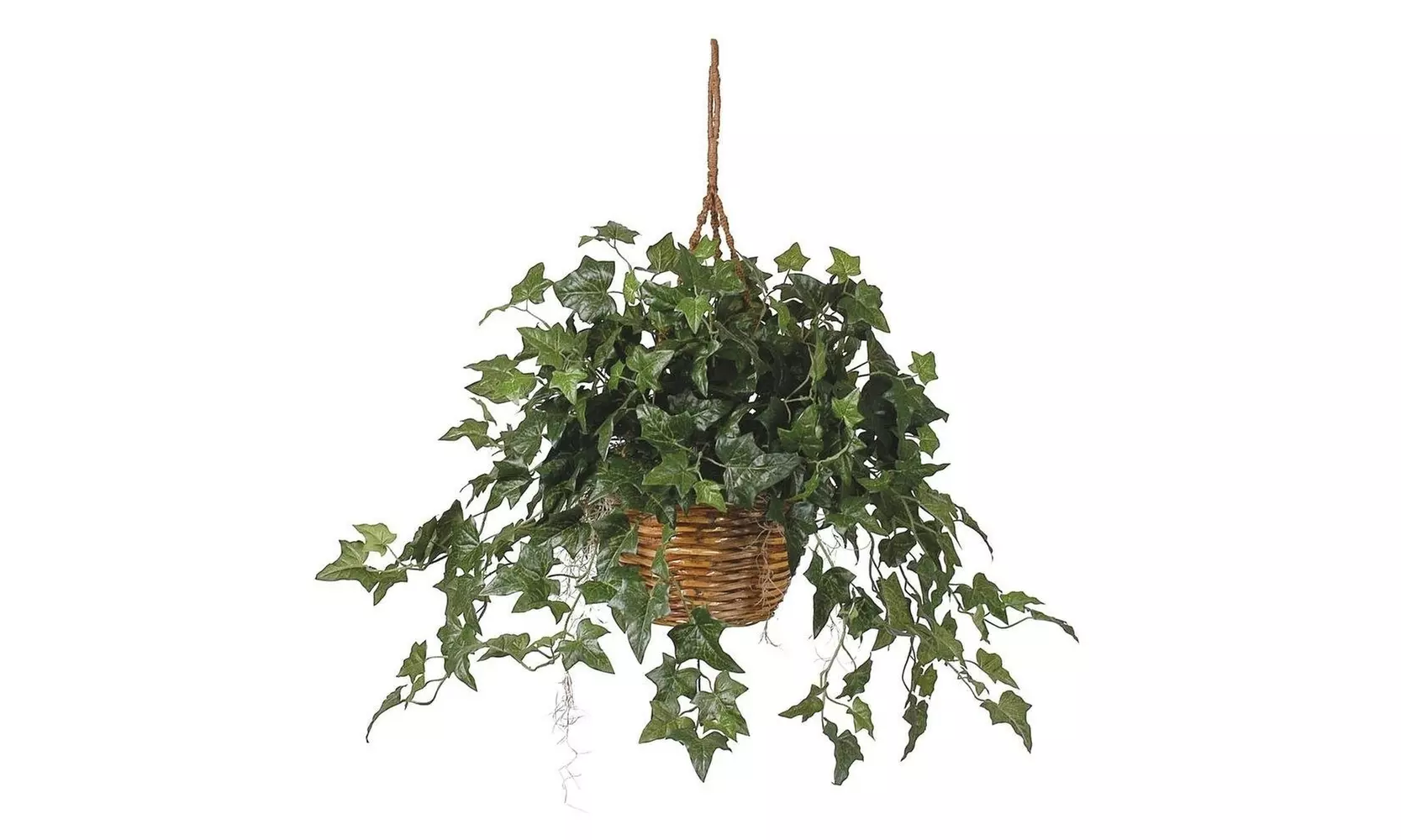 Nearly Natural 6507 English Ivy Hanging Basket Silk Plant - Primary Image