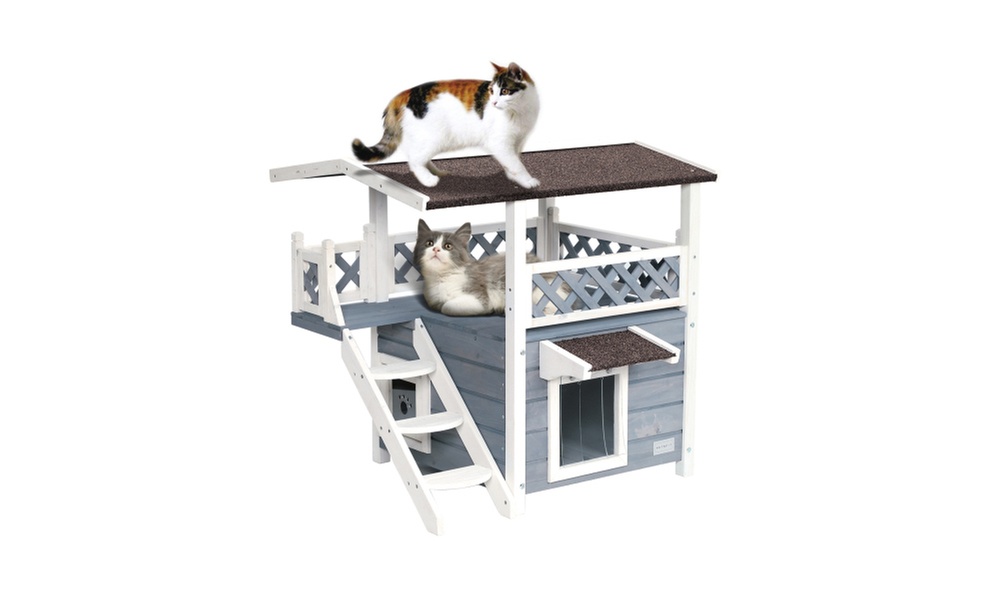 Weatherproof Outdoor Cat Shelter with Escape Door