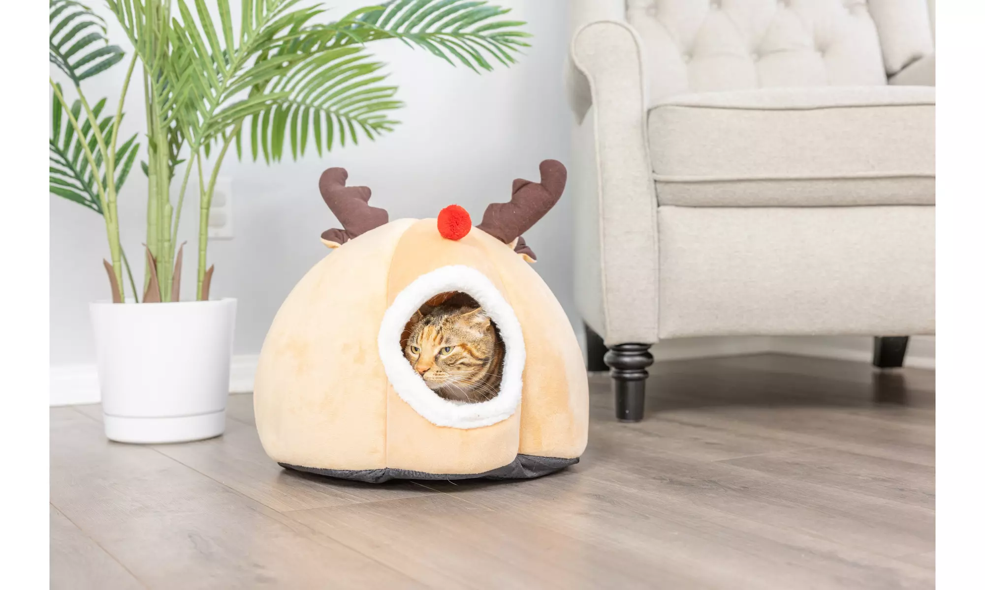 Cat Cave House and Kitty Bed - Second Medium