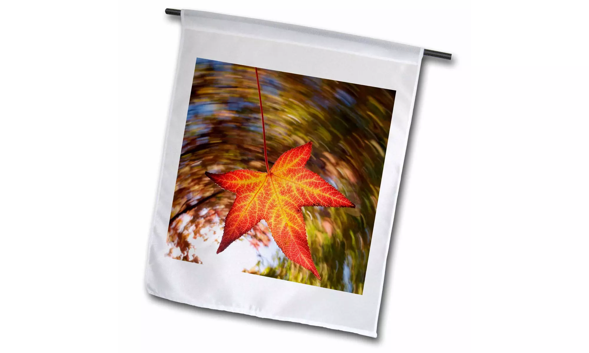  Garden Flag USA, California, San Diego, Falling Leaf from a tree in autumn. -  - Primary Image
