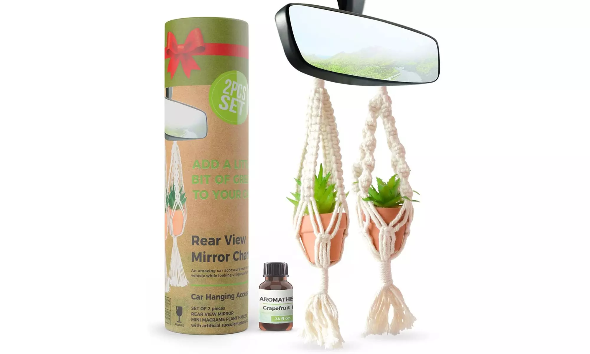 Set of 2 Car Mini Succulent Hanging Artificial Plants - Primary Image