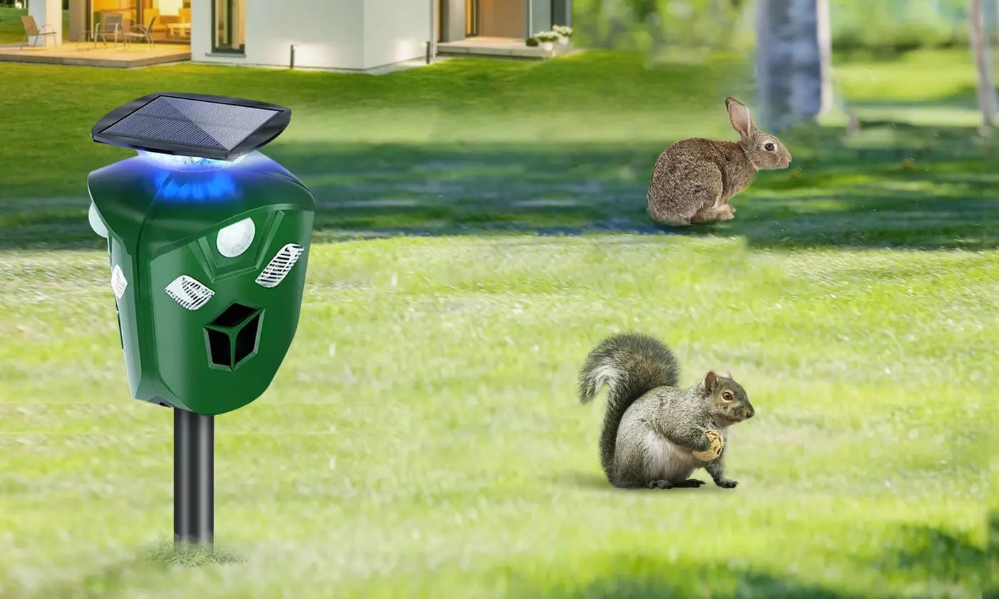 LakeForest 360-Degree Ultrasonic Animal Repeller Pest Deterrent with LED Lights