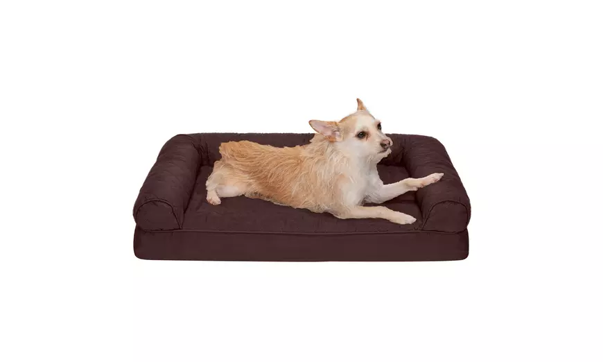 Groupon shops orthopedic dog bed