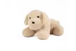Weighted Plush Animals for Children - for Anxiety Focus or Sensory Input - Second Medium