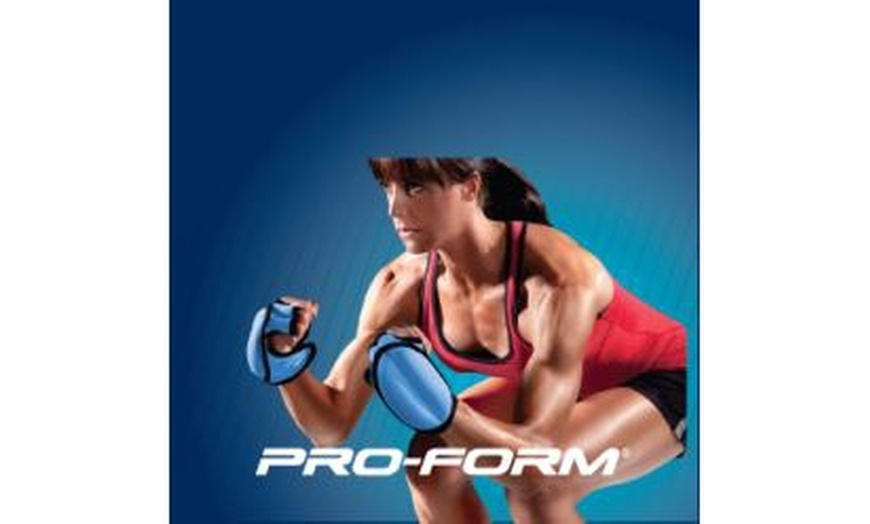 proform weighted gloves