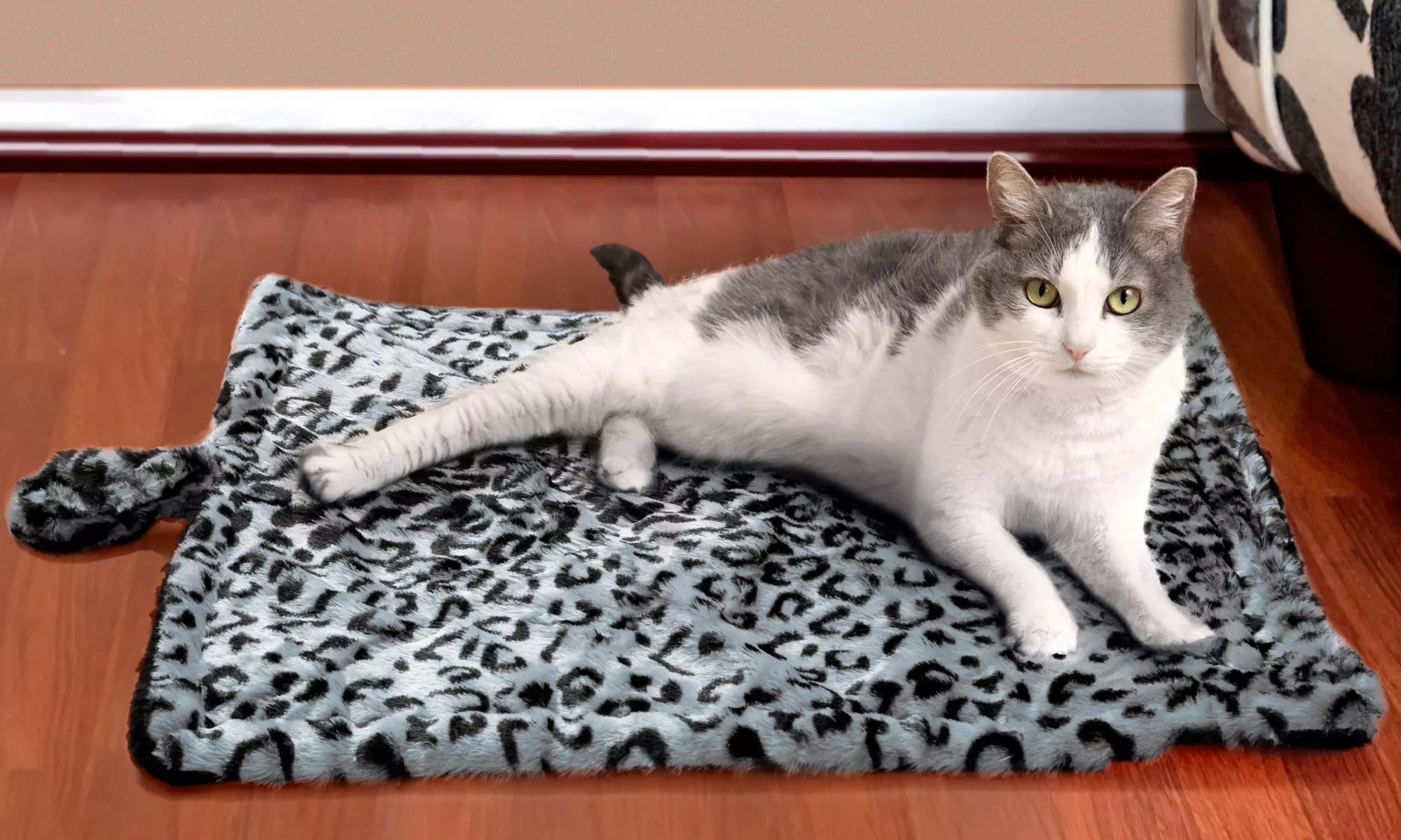 Paws & Pals Thermal Self Warming  Pet Bed - (Leopard Print) - Primary Image