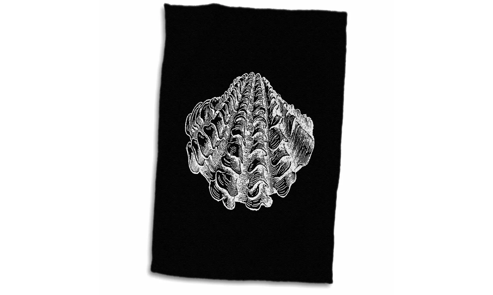 Towel - Black seashell etching print. Modern Sea shell clam beach ocean life - Second Medium