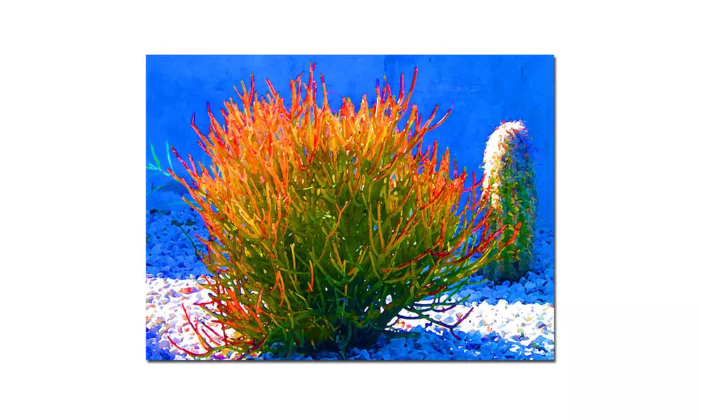Amy Vangsgard Firesticks on Blue Ready to Canvas Print - Primary Image