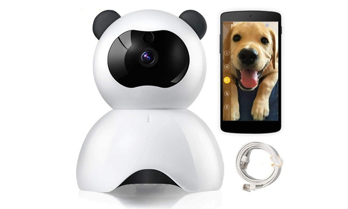 groupon dog camera