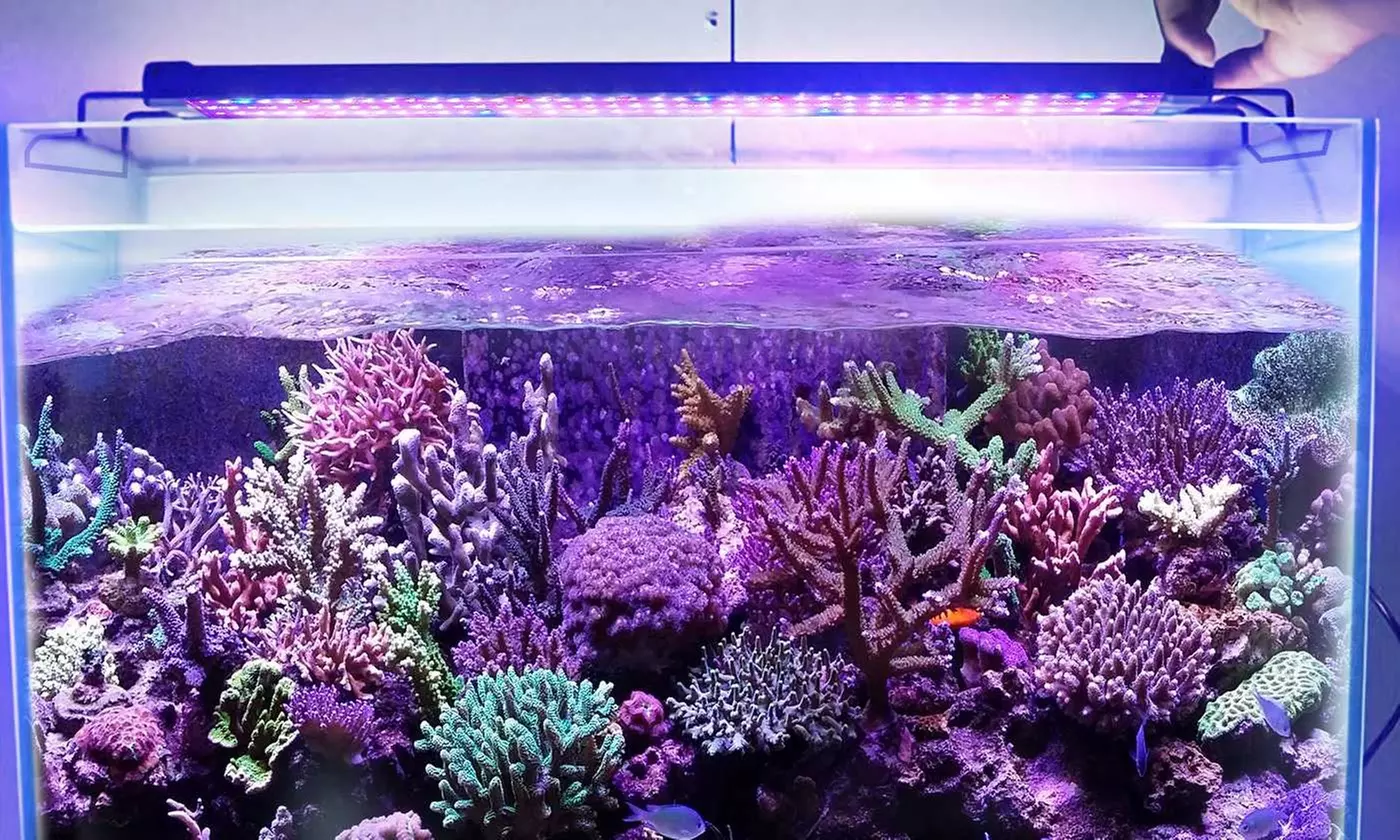 iMounTEK Full Spectrum Bright  LED Aquarium Light with Extendable Brackets - Primary Image