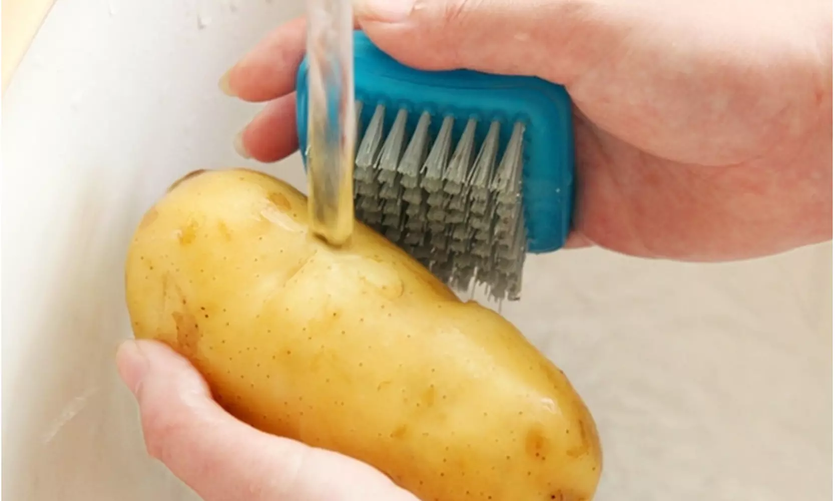 3-Piece: Fruit And Vegetable Brush Cleaner Scrubber with Soft Bristles