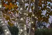 125 LED Solar Powered String Lights: Warm White or Multicolored (1,2,4-Pack) - Second Medium
