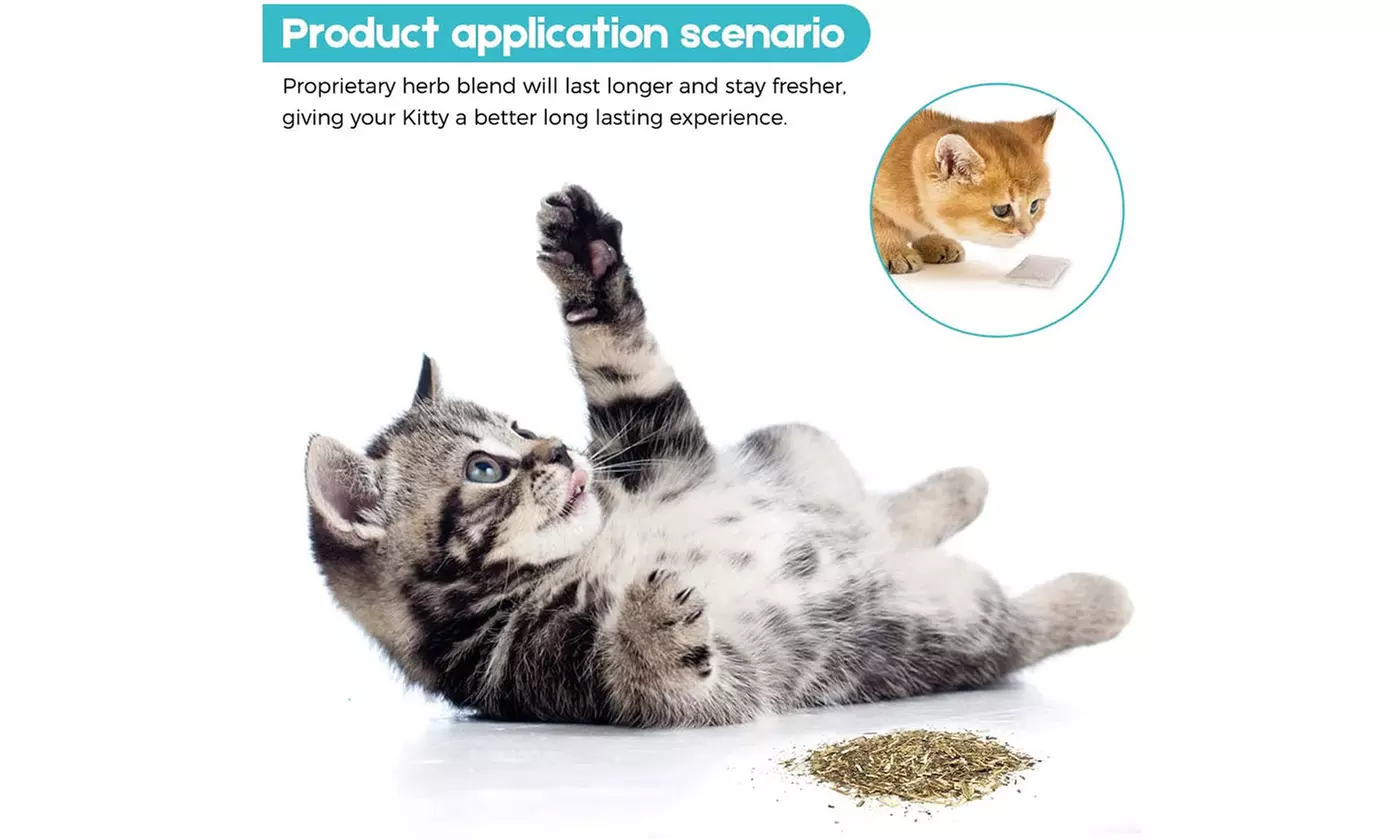 Electric Moving Fish Cat Toy Realistic Flopping Wagging Fish Cat Toy