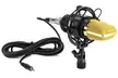 Small Diaphragm Condenser Microphone with Included Microphone Sponge - Second Medium