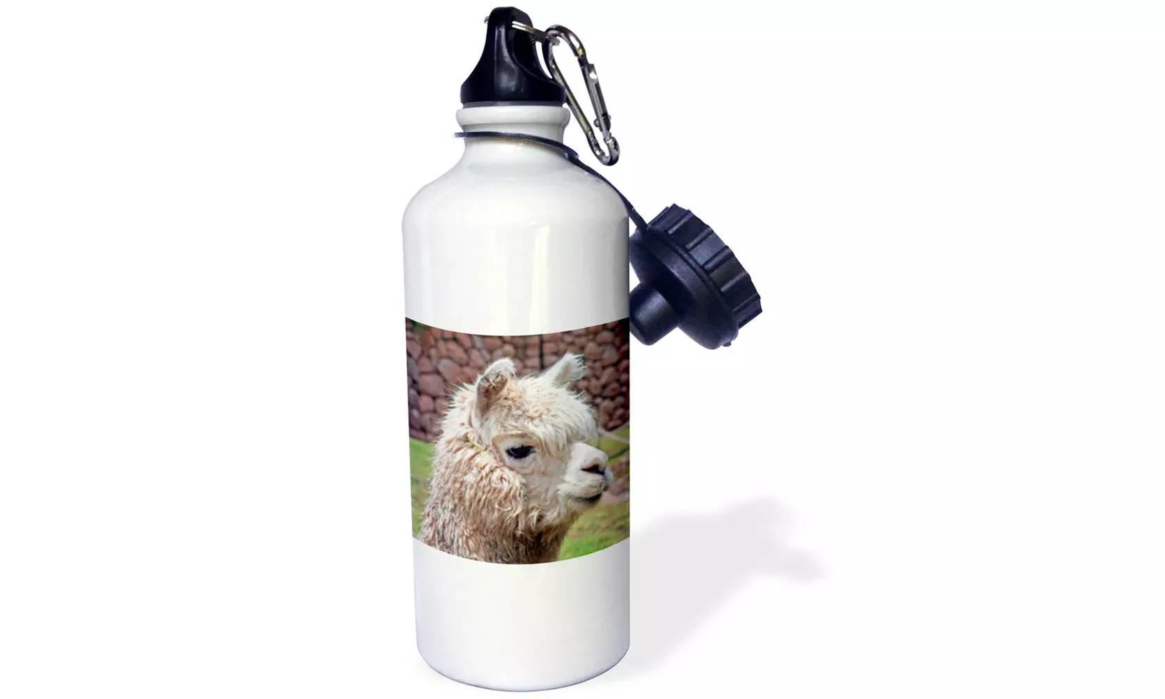  Water Bottle Peru. Alpaca wildlife, Awana Kancha, Urubamba Valley SA17 KWI0128  - Primary Image