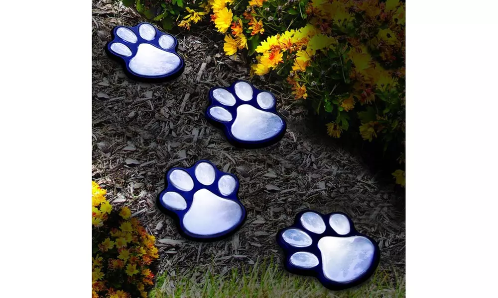 Solar Path Lights (Set of 4) - Primary Image