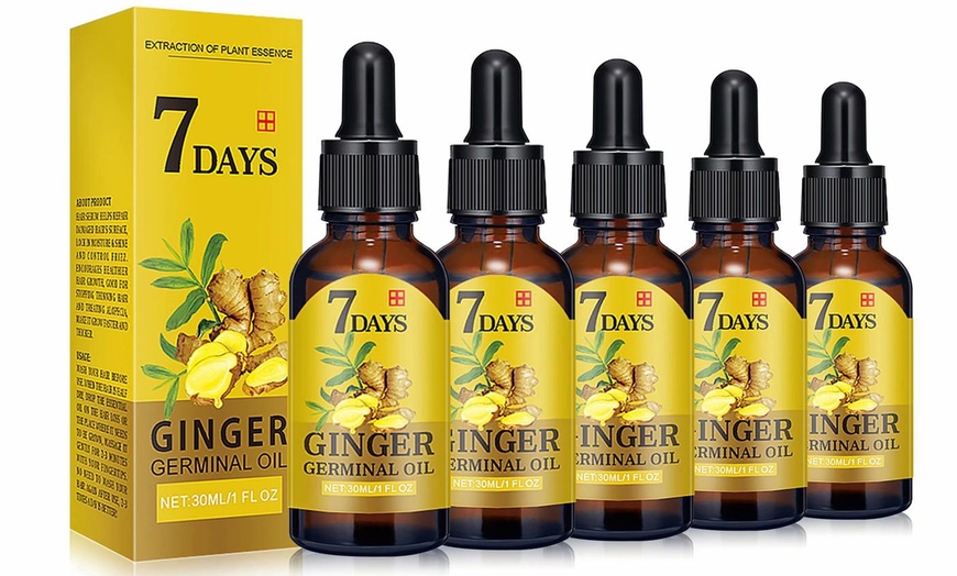 Ginger Germinal Hair Growth Serum Hair Growth Essential Oil (1, 2, or ...