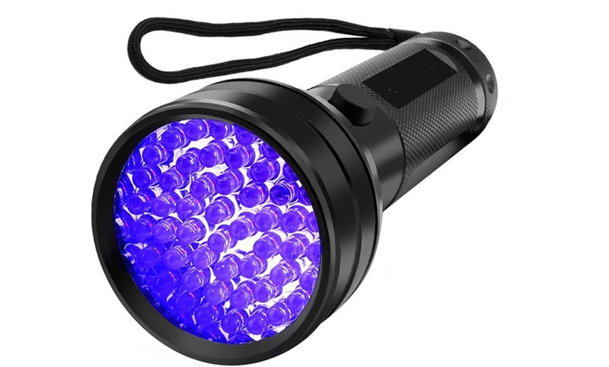 pet stain detector light