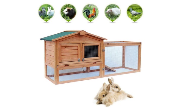 Groupon 2025 rabbit hutch